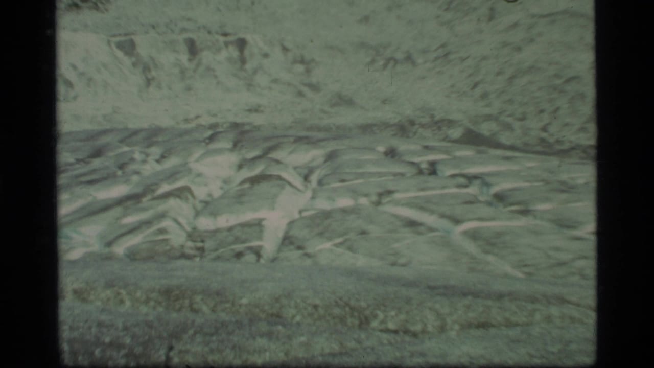 1977 8mm Glacier Bay footage showing a wide close view of fractured pale glacier ice with dark film borders.