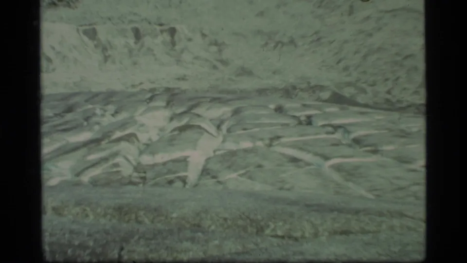 1977 8mm Glacier Bay footage showing a wide close view of fractured pale glacier ice with dark film borders.