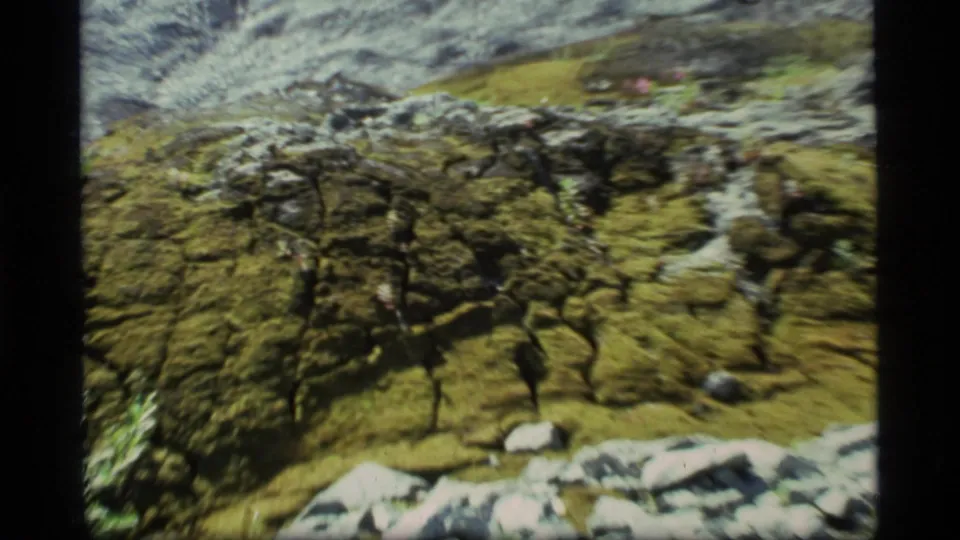 Handheld 1977 Glacier Bay frame showing moss-covered rock textures, scattered stones, and motion blur from the pan.