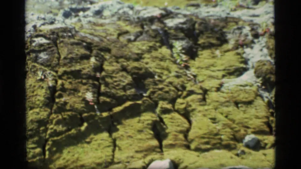 1977 Glacier Bay frame showing close moss-covered rock formations, dark cracks, scattered stones, and sparse low plants.