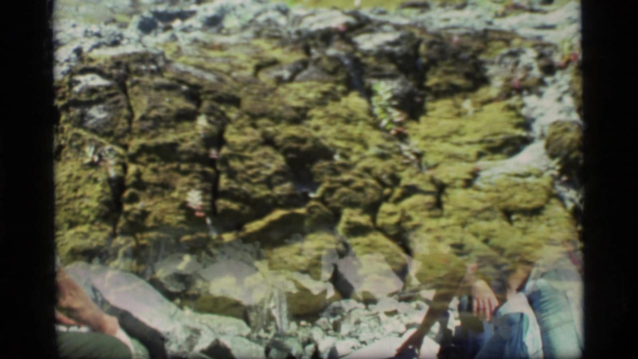 Rocky streamside terrain with mossy greenery and partial views of hikers at the frame edge.