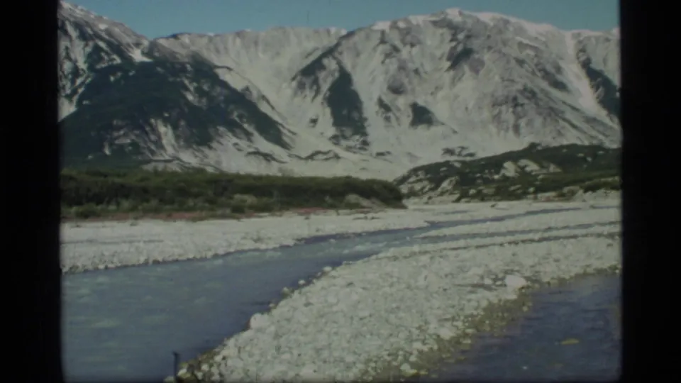 1977 Glacier Bay, Alaska view of a braided river and pale gravel flats with snow-covered peaks in the background.