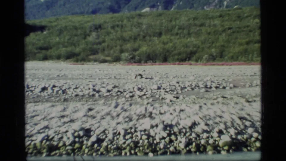 1977 Glacier Bay shoreline view showing a rocky riverbed, green forest, and mountain slope in soft 8mm color.