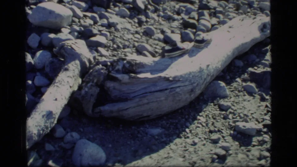 1977 Glacier Bay home-movie frame showing driftwood on a rocky bed, with sneakers nearby suggesting a visitor just outside view.