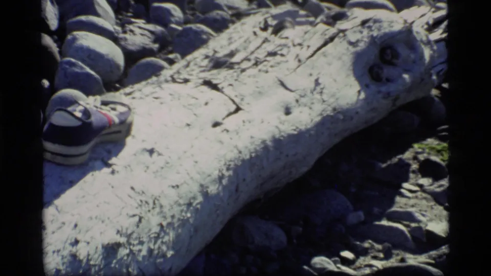 1977 Glacier Bay frame with a sneaker tucked near a bleached log end on rocky Alaskan ground.