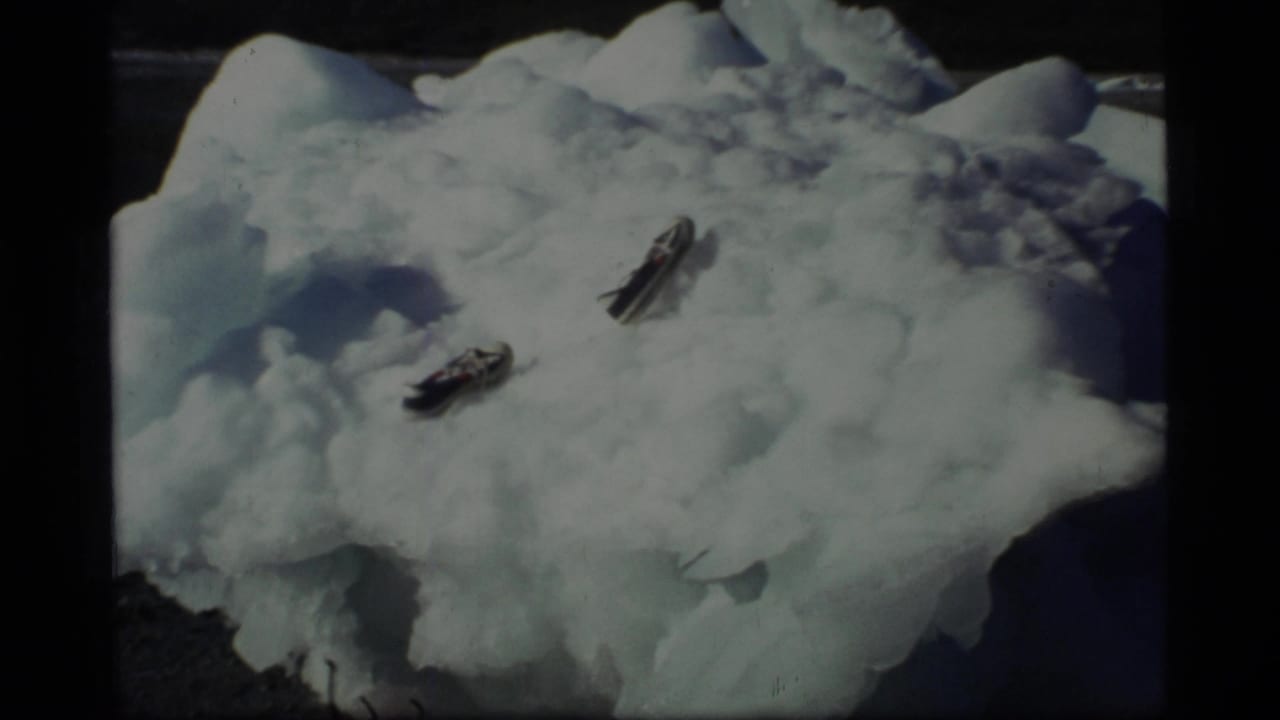 Large iceberg on a rocky shore with two small dark objects embedded in the ice.