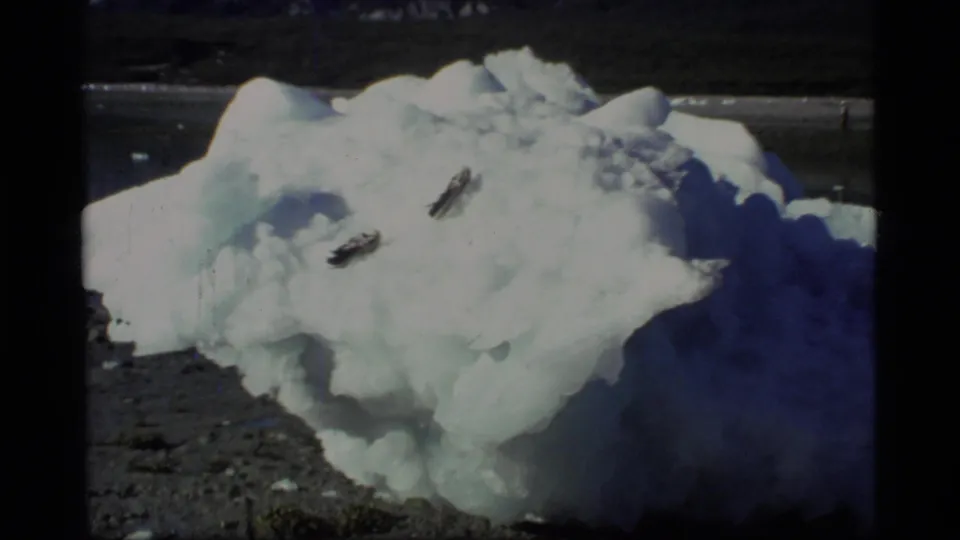 Glacier Bay iceberg seen from shore, with water and distant land behind it and two dark surface objects visible.