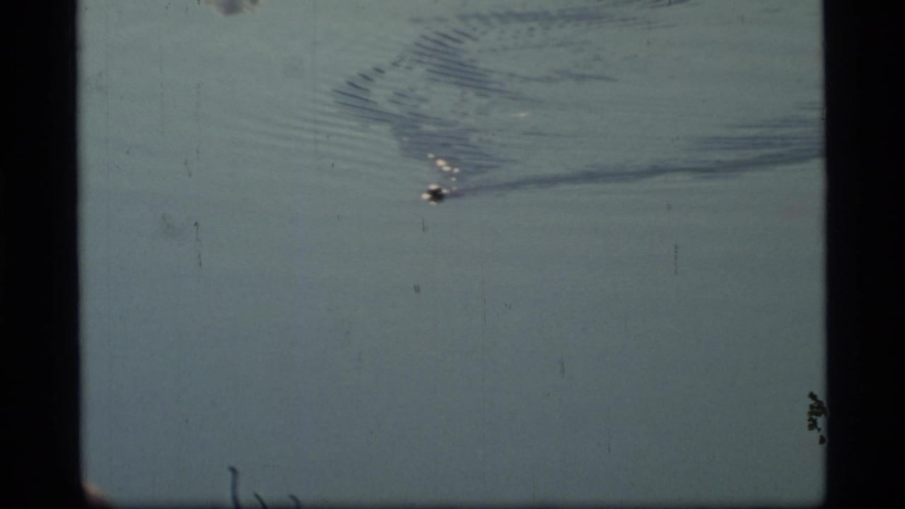 1977 Glacier Bay 8mm frame showing a distant dark marine mammal surfacing in cold blue-green water with small ice pieces nearby.