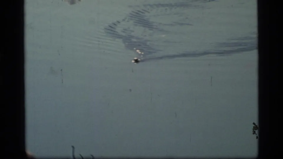 1977 Glacier Bay 8mm frame showing a distant dark marine mammal surfacing in cold blue-green water with small ice pieces nearby.
