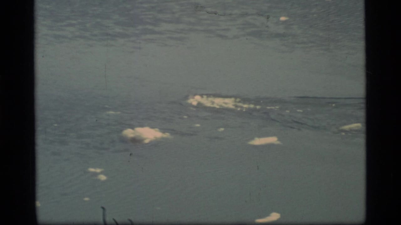 1977 Glacier Bay 8mm frame showing icy water, scattered ice floes, soft focus, and visible film-frame edges.