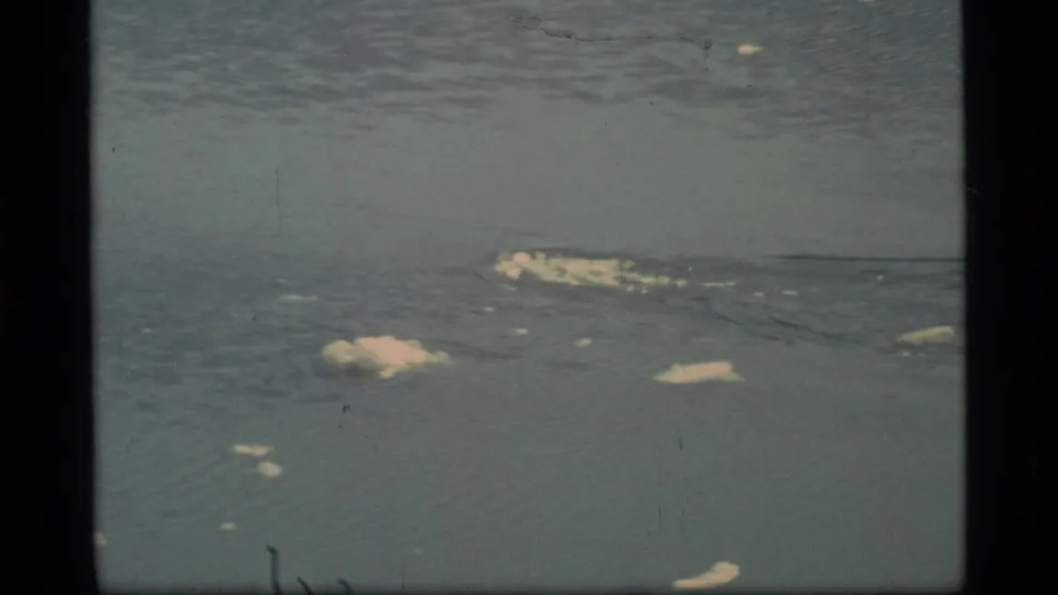 1977 Glacier Bay 8mm frame showing icy water, scattered ice floes, soft focus, and visible film-frame edges.
