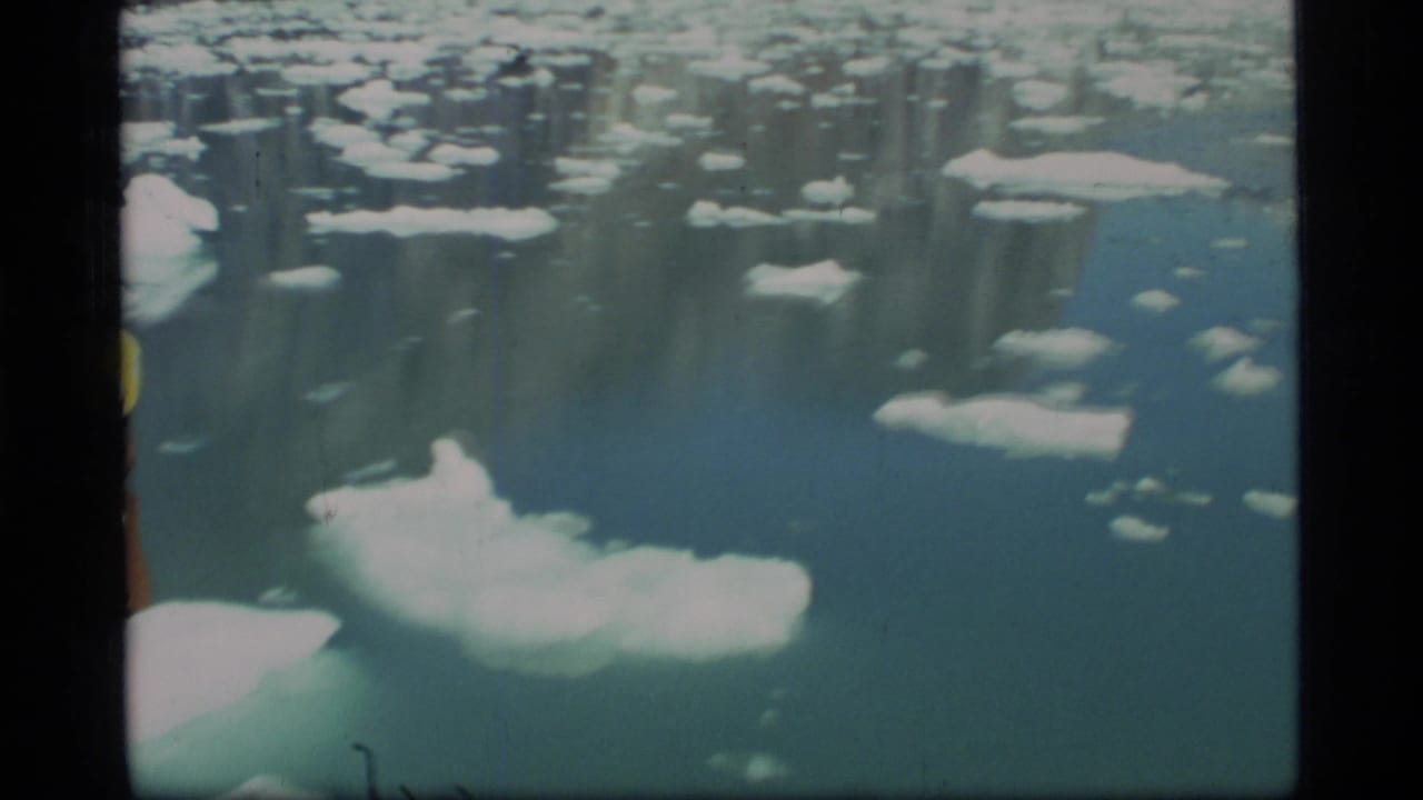 Large white ice floe floats in calm blue water with more ice scattered in the distance.