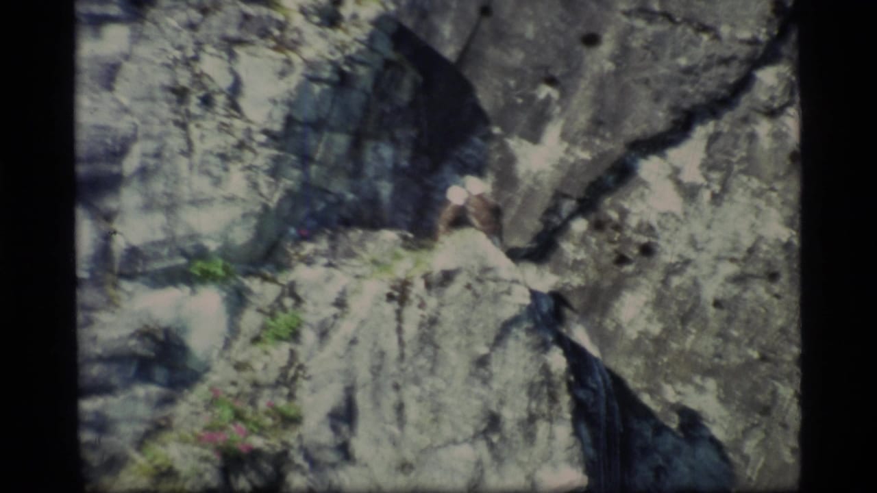 1977 Glacier Bay 8mm frame showing a bald eagle perched among gray rock faces with small patches of vegetation.