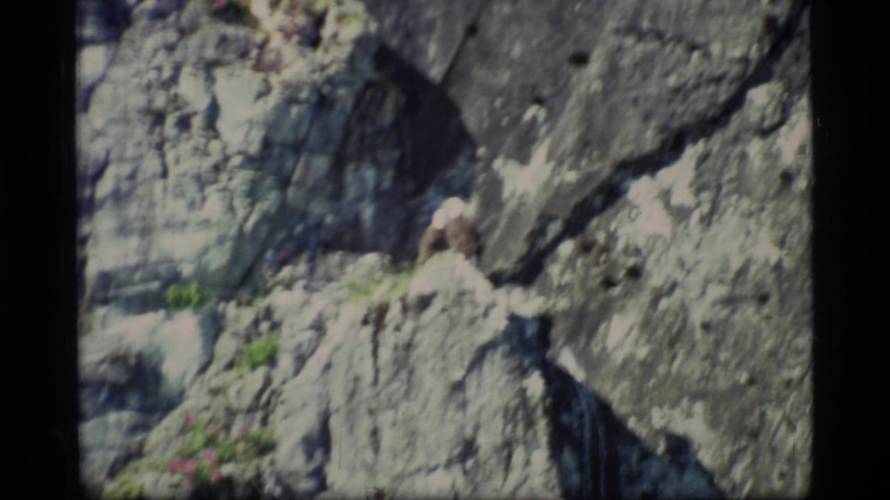 Bald eagle on a rocky ledge beside steep gray rock.