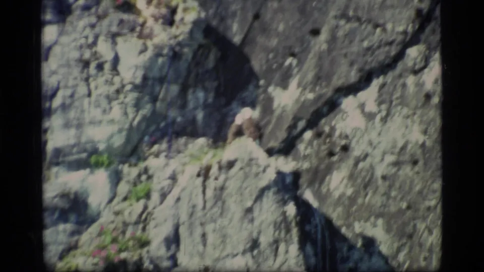 Glacier Bay home-movie frame with a bald eagle resting on a rock ledge against a steep cliff face.