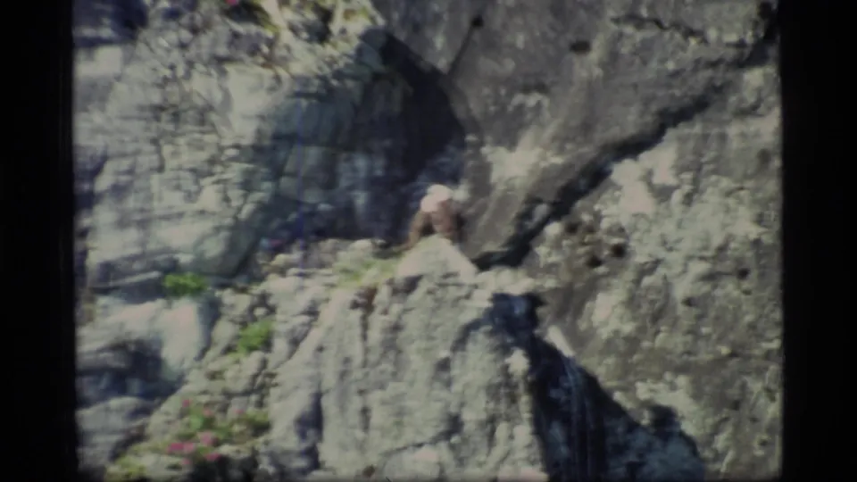 1977 8mm frame of the bald eagle seen lower in the rocky Glacier Bay cliff, with sparse greenery and flowers nearby.