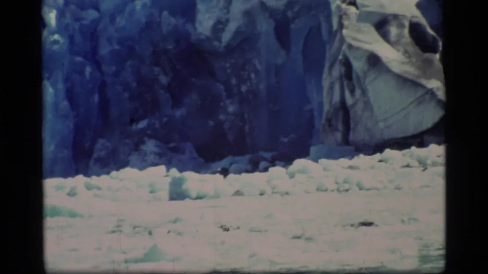 8mm Glacier Bay frame showing a blue glacial wall, broken ice chunks, and overexposed snow along the waterline.