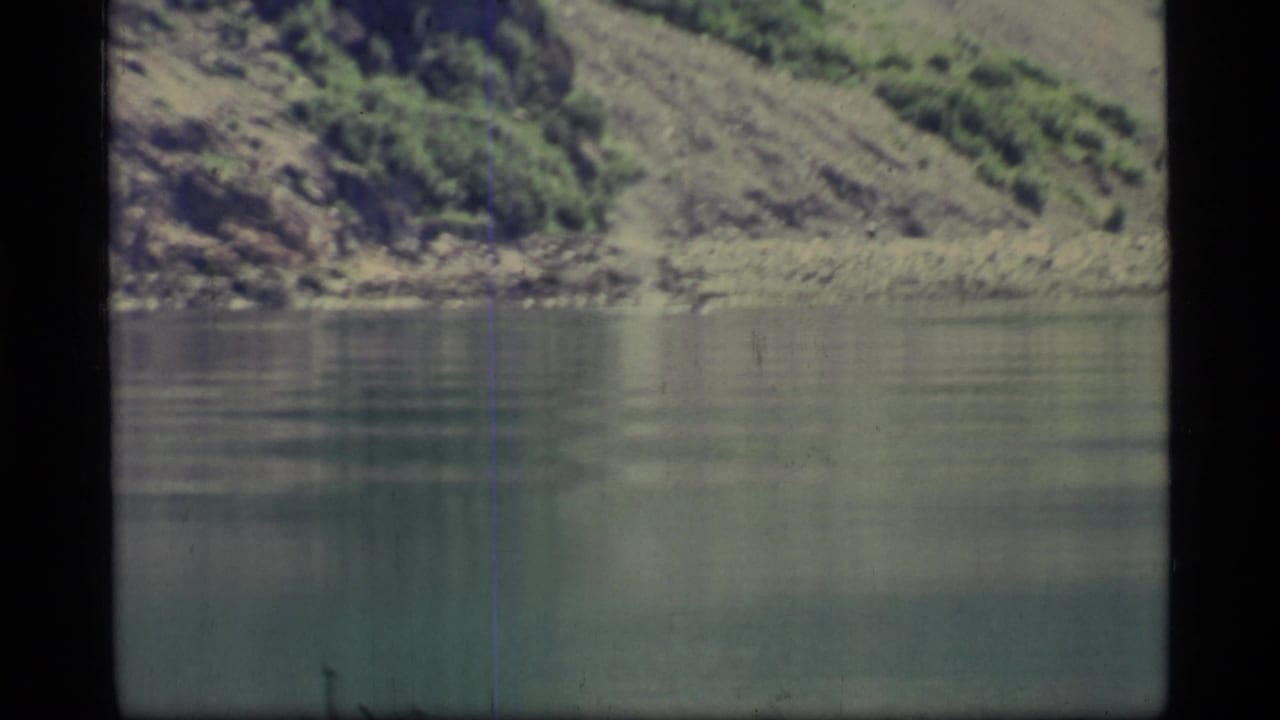 1977 8mm Glacier Bay view of still water, rocky shore, and a steep green-brown hillside with visible film wear.