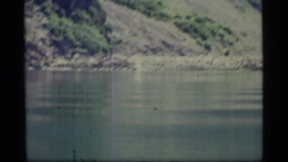 Glacier Bay 8mm frame showing muted water, a brushy sloped shoreline, rocky ground, and aged film texture.