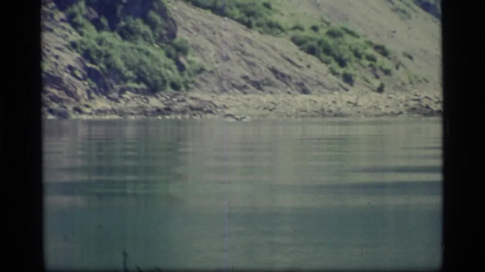 1977 home-movie frame of Glacier Bay lake water, shoreline rocks, and sloping vegetation with visible film grain.