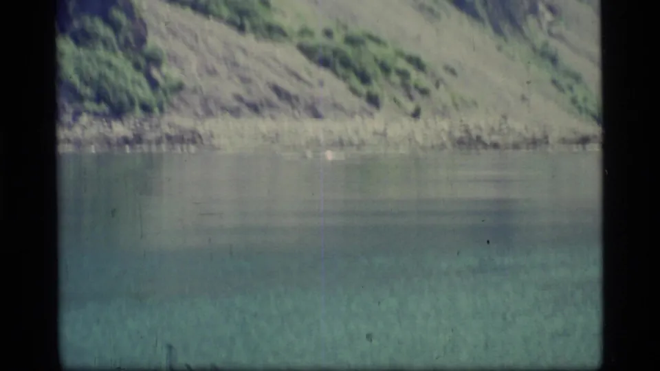 Soft 8mm Glacier Bay lake view with pale water, a rocky shoreline, and green hillside vegetation in daylight.