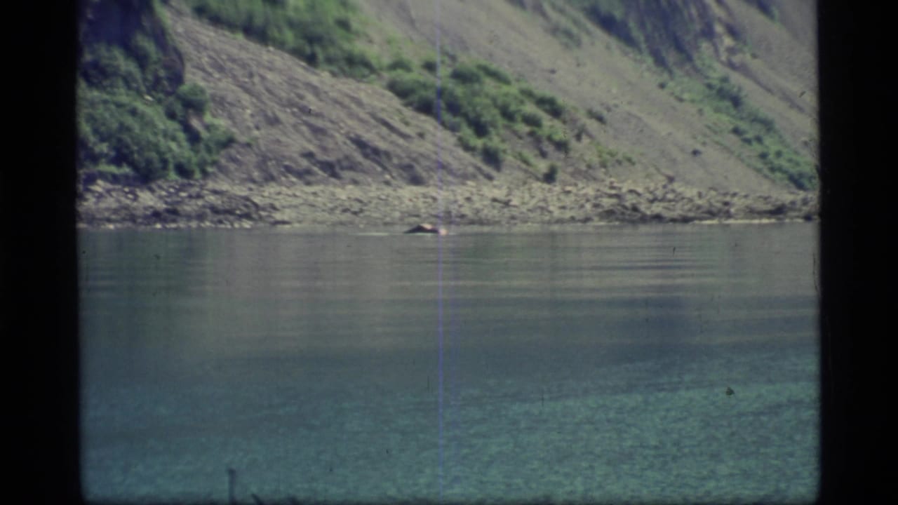 Distant dark animal near the shoreline on calm water below a rocky slope.