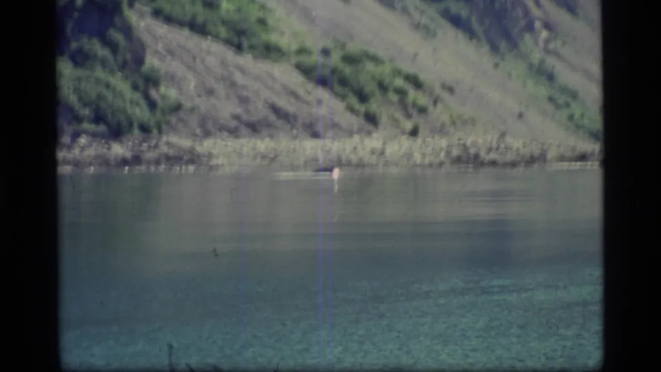 1977 Glacier Bay home-movie frame showing calm water, mountain slope, and a small pale mark near the shoreline.