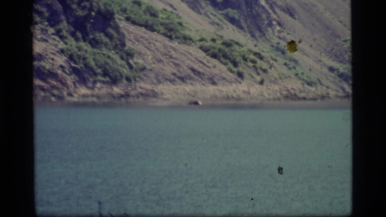 1977 8mm view of Glacier Bay water and a rugged, tree-dotted mountain slope, with visible film borders and specks.