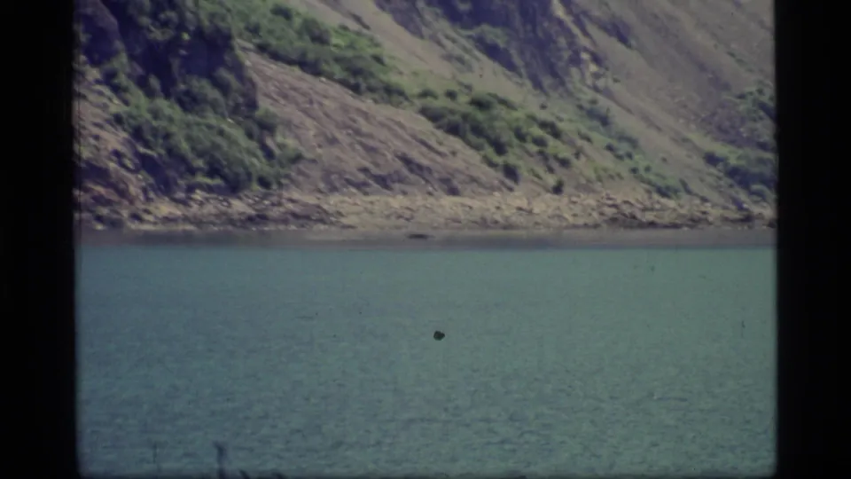 Glacier Bay shoreline appears across calm water in a 1977 8mm frame, with a small dark mark visible over the water area.