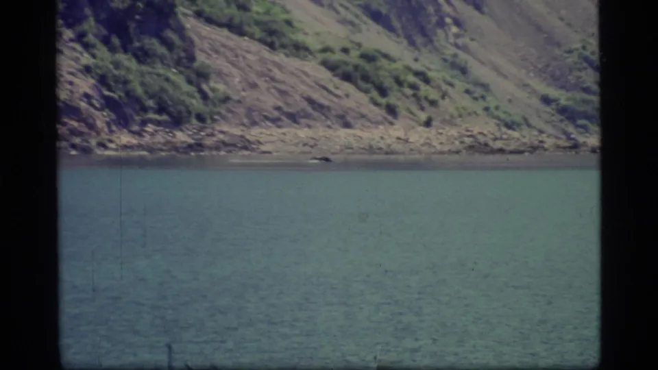 1977 Glacier Bay home-movie frame showing calm water, a rugged shore, and a small dark object that may be on the water or shoreline.