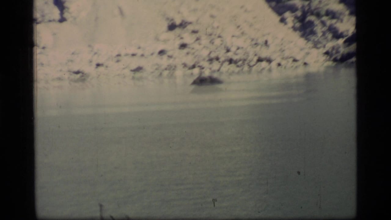 Calm water below a rocky shoreline with a dark shape near the surface.