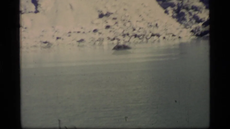1977 8mm Glacier Bay footage shows calm water beneath a rocky shore, with a distant dark whale shape just breaking the surface.
