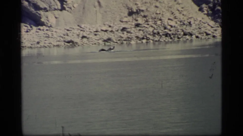 The whale's dark back or fluke is visible at the surface of calm Glacier Bay water, framed against a rugged rocky shoreline.