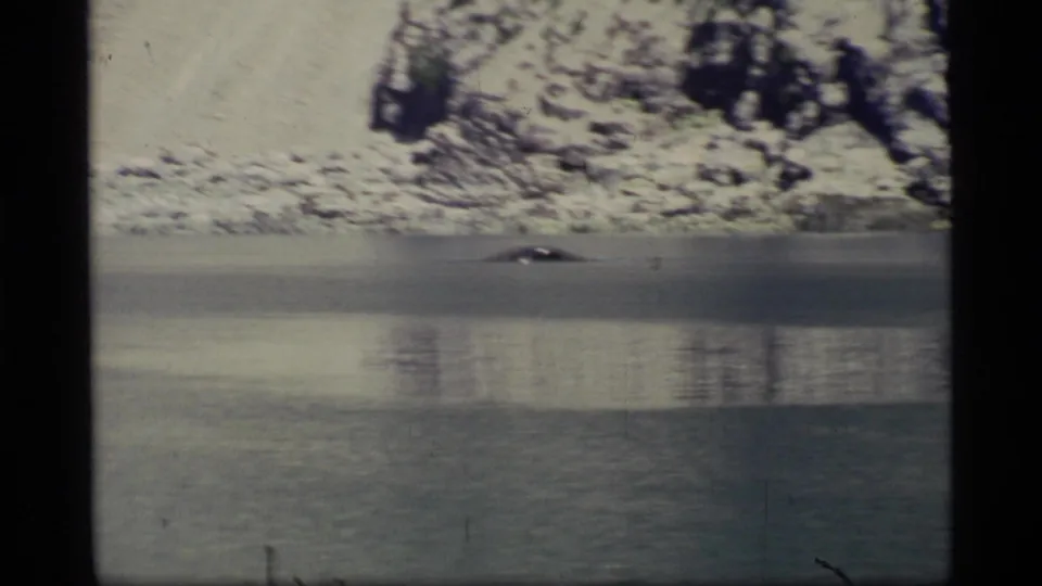 A distant whale shape appears at the waterline in Glacier Bay, Alaska, with pale snowy rocks and still water filling the 8mm frame.