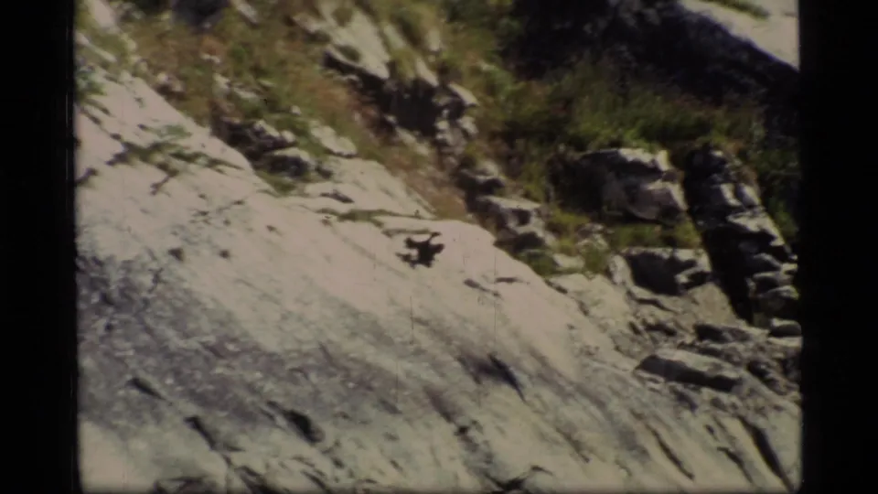 1977 8mm Glacier Bay frame with a bird taking off from a pale rocky slope beside darker stones and sparse grass.