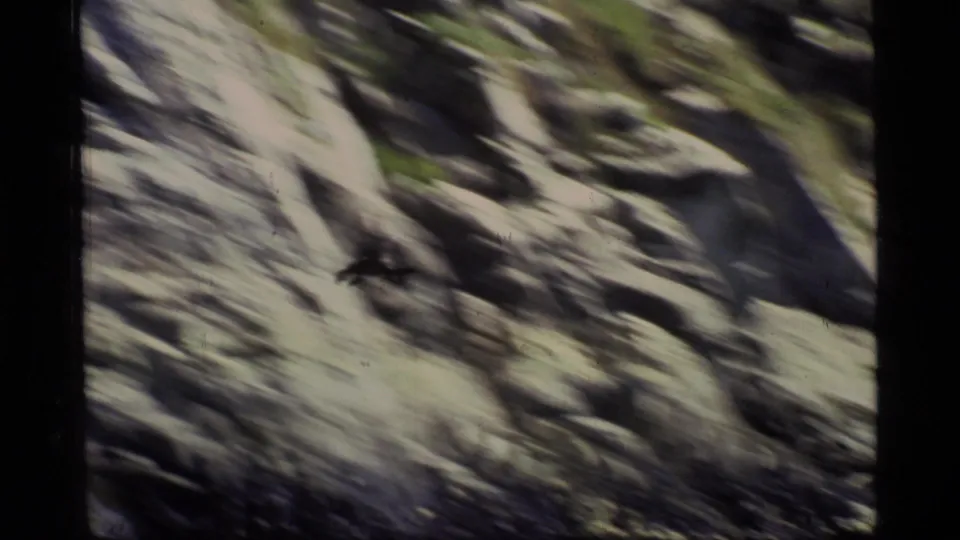 Handheld 1977 8mm Glacier Bay frame with blurred rock surfaces and a small dark bird crossing the cliff or shoreline area.