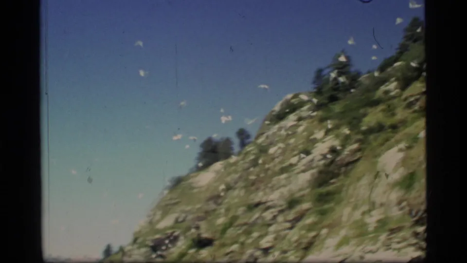 A loose group of birds flies over a rocky hillside and sparse trees in 1977 Glacier Bay footage.