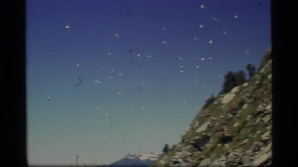 Small birds cross the sky above a rocky slope, with distant snow-touched mountains visible in Glacier Bay, Alaska.