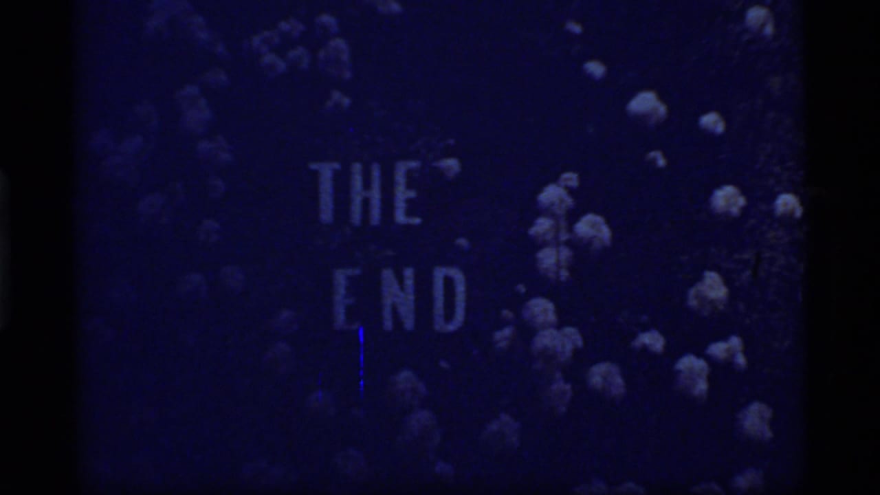 Dim blue end card with THE END text and pale flowers beginning to appear.