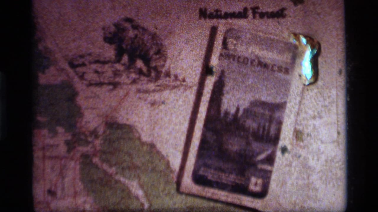 Close view of a National Forest map, bear illustration, and wilderness brochure on a tabletop.