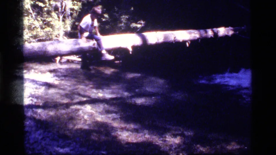 A young person sits on a fallen log spanning the stream at Sapphire Lake, Montana, with water and foliage around them.
