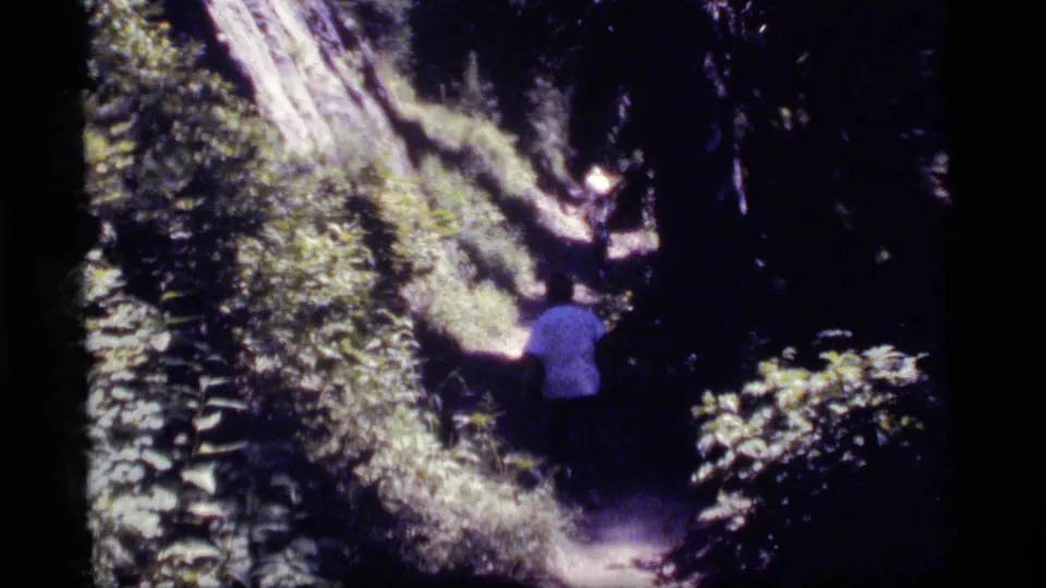 1977 8mm home-movie frame of a hiker walking away on a wooded Sapphire Lake trail beneath a large leaning tree trunk.