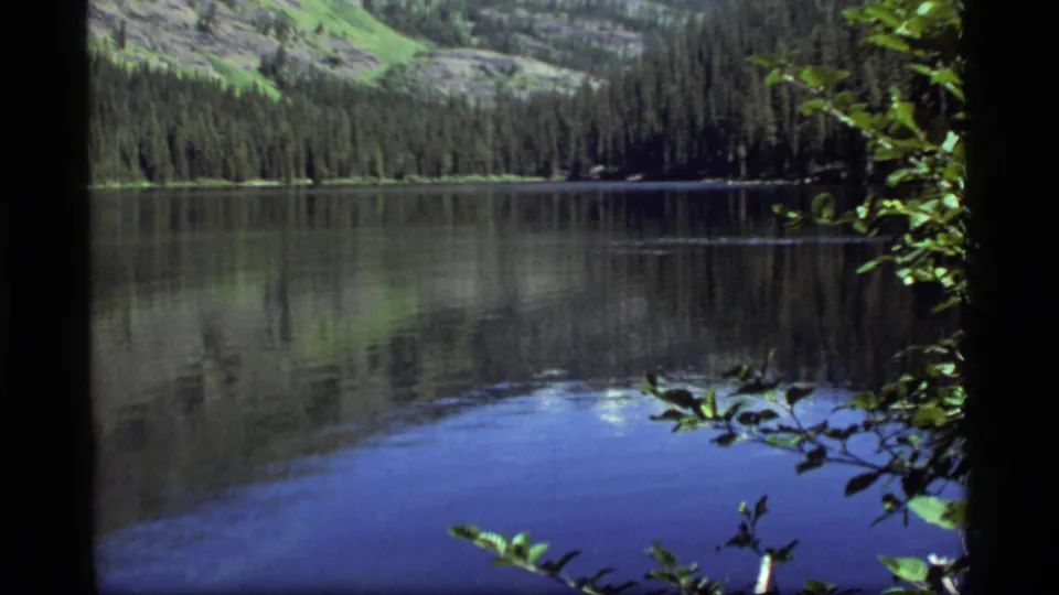 Sapphire Lake appears calm beneath forested Montana slopes, framed by leaves and a dark tree trunk in 8mm footage.