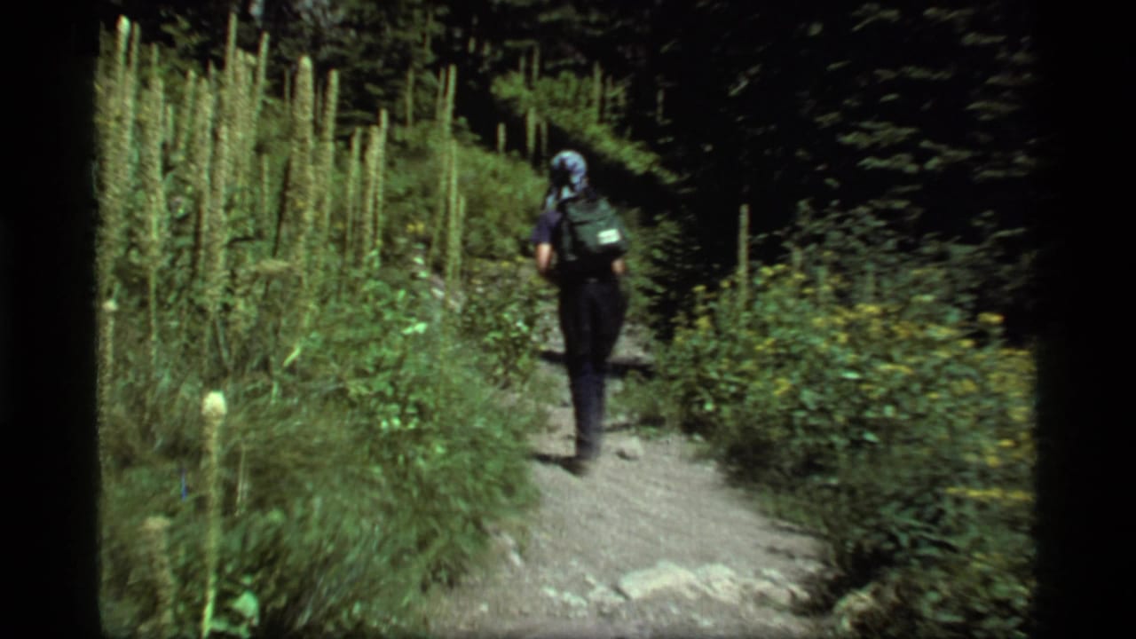 Backpacker walks farther up a rocky trail between tall grasses and forest plants.