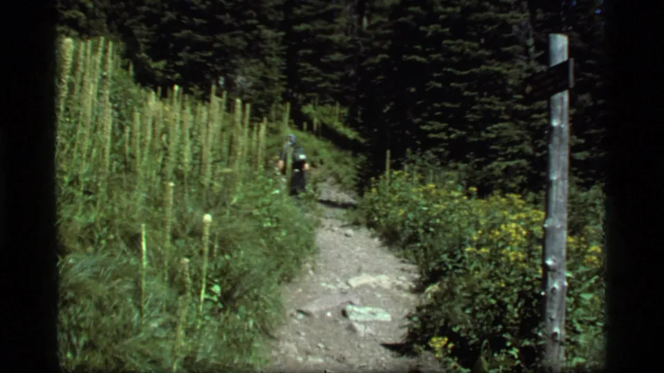 A distant hiker follows the Sapphire Lake trail as a wooden trail marker post stands beside the path.