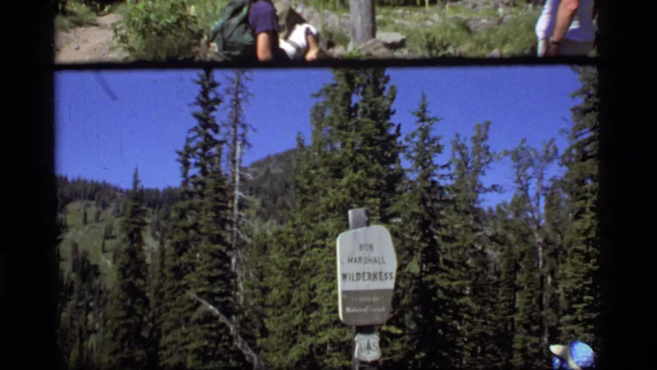 1977 8mm Montana frame showing the wilderness sign against dense trees, slope, and clear sky.
