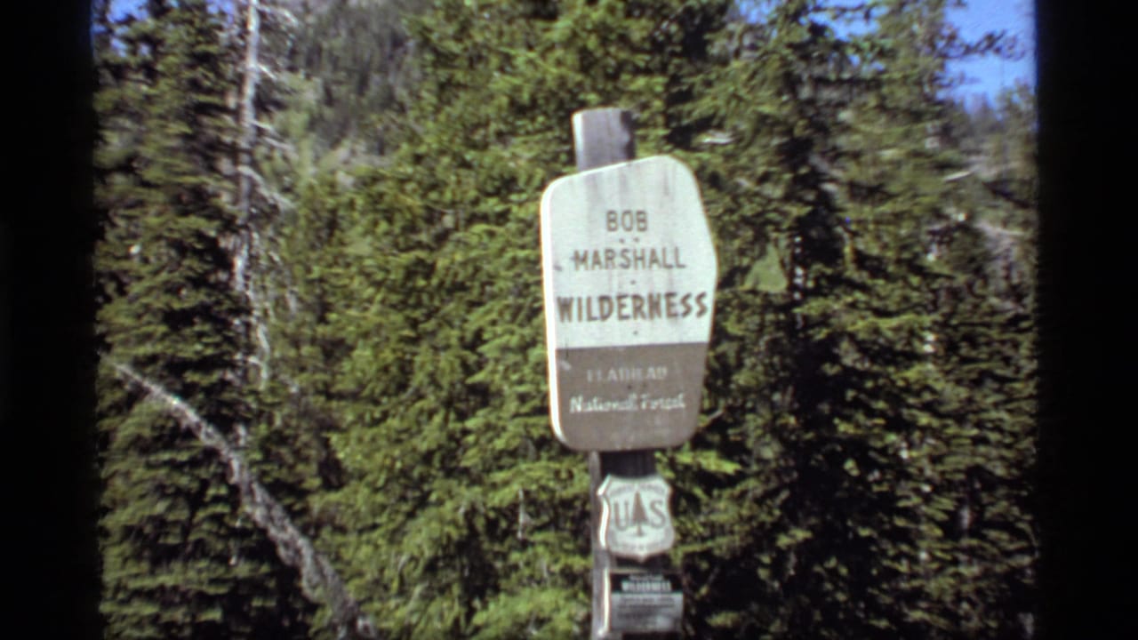 1977 8mm frame of a Bob Marshall Wilderness sign in a dense Montana forest setting.