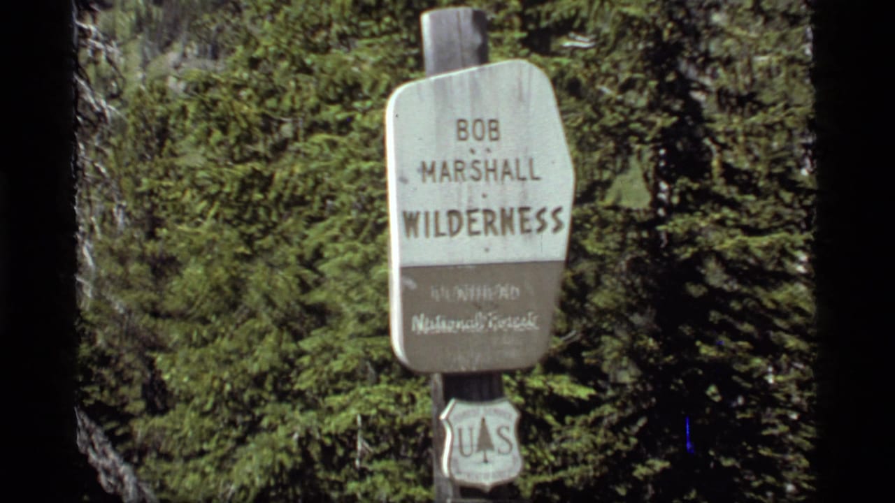 Closer view of the Bob Marshall Wilderness sign beside forest trees.
