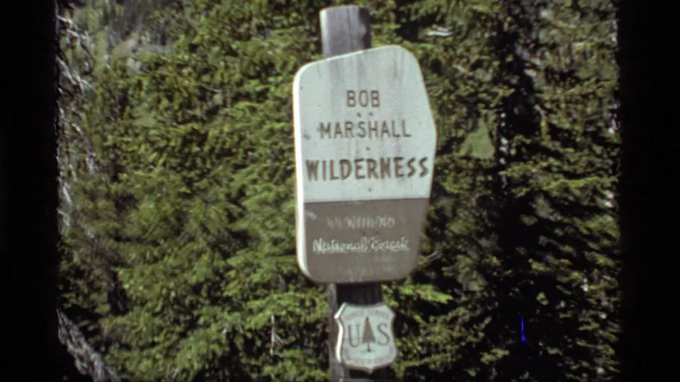The wilderness boundary sign appears closer, with agency markings and evergreen forest visible behind it.