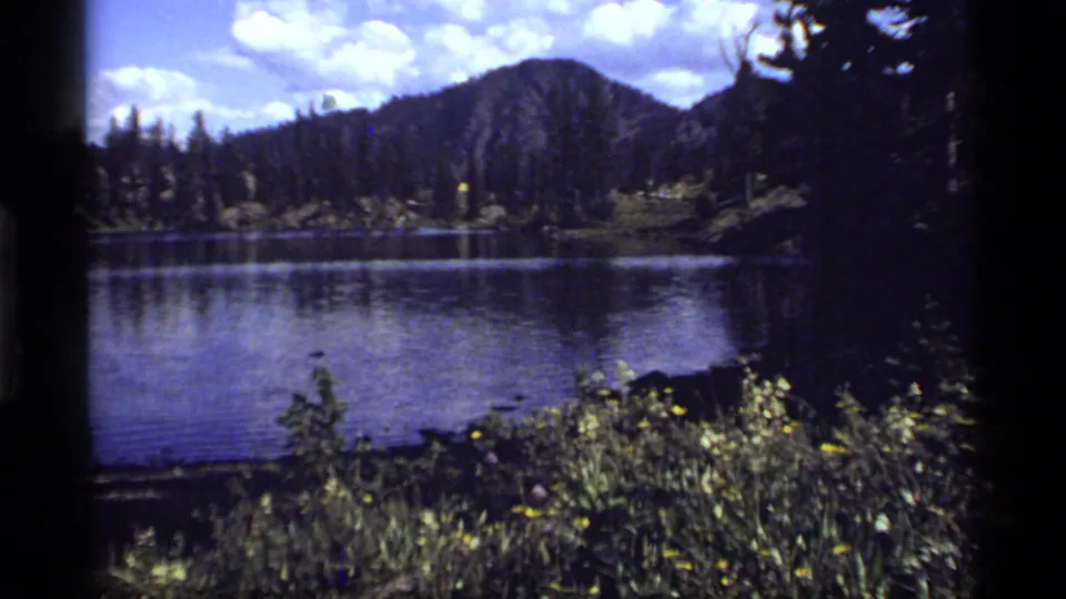 1977 Montana lake view with calm water, forested mountain, partly cloudy sky, and wildflowers in the foreground.